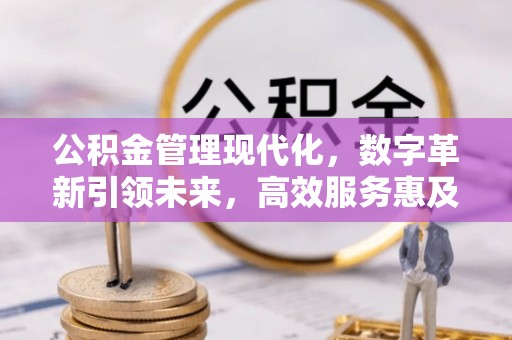 衢江公积金管理现代化，数字革新引领未来，高效服务惠及民生