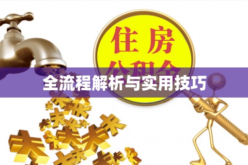 衢江全流程解析与实用技巧