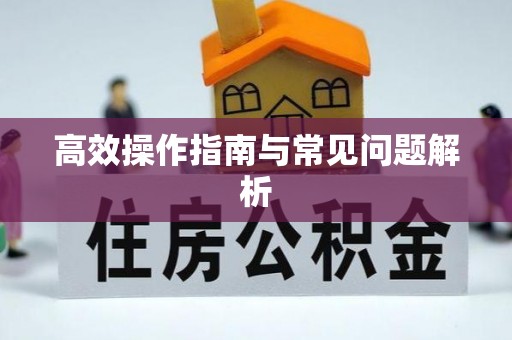 衢江高效操作指南与常见问题解析