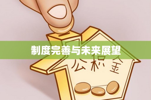 衢江制度完善与未来展望