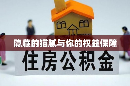 衢江隐藏的猫腻与你的权益保障
