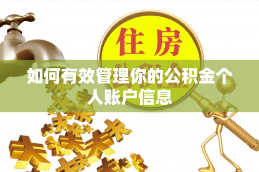 衢江如何有效管理你的公积金个人账户信息