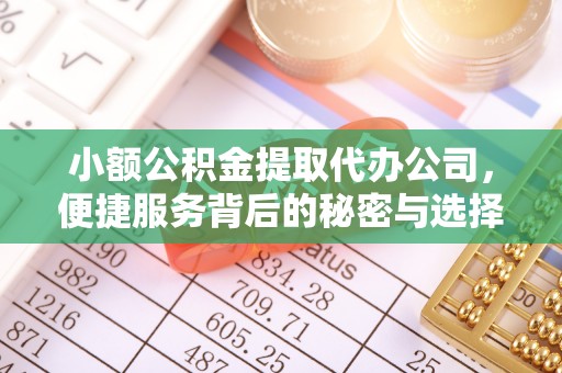 衢江小额公积金提取代办公司，便捷服务背后的秘密与选择指南