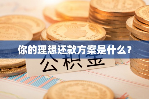 衢江你的理想还款方案是什么？