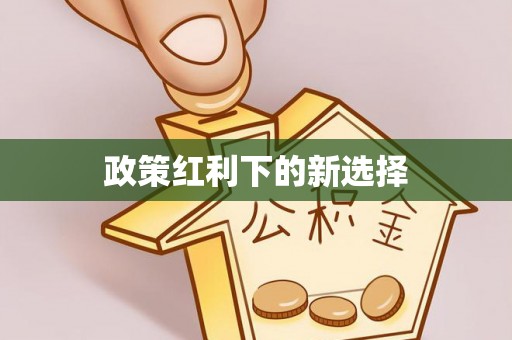 衢江政策红利下的新选择