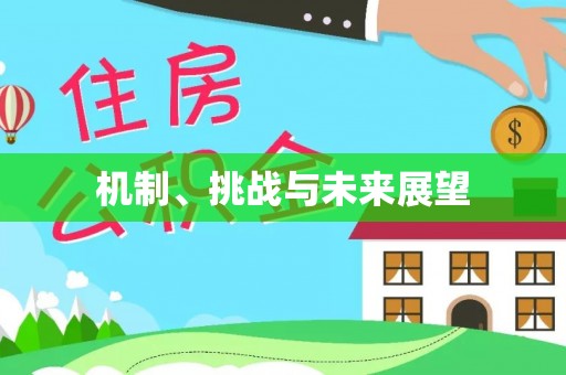 衢江机制、挑战与未来展望